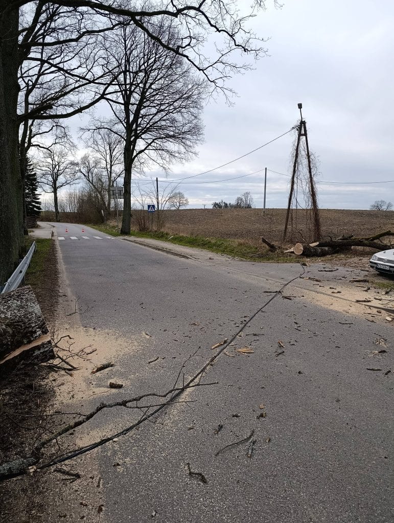 Przewr&oacute;cone drzewo na drodze, uszkodzony słup oświetleniowy i samoch&oacute;d w pobliżu.