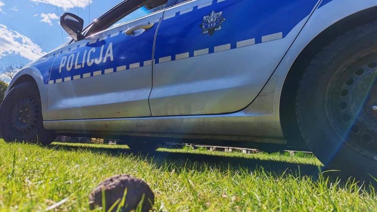 Policja na miejscu zdarzenia w ogrodzie, widok na samoch&oacute;d policyjny i ziemię z wykopanym przedmiotem.