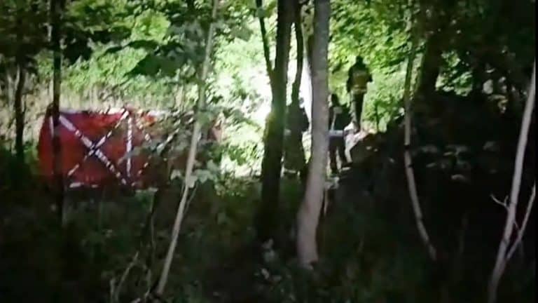Zdjęcie z lasu nad jeziorem Arklickim, w którym widać zarośla i fragmenty sprzętu lub materiałów.