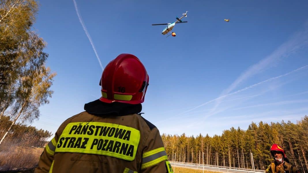 Strażak z hełmem i odblaskową kamizelką obserwuje akcję gaśniczą z powietrza nad pożarem lasu na Mazurach.