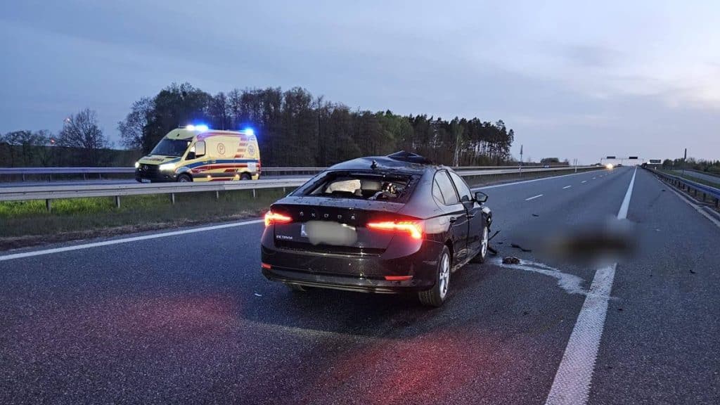 Uszkodzony samoch&oacute;d na drodze S7 po kolizji z łosiem, widoczny ambulans w tle.