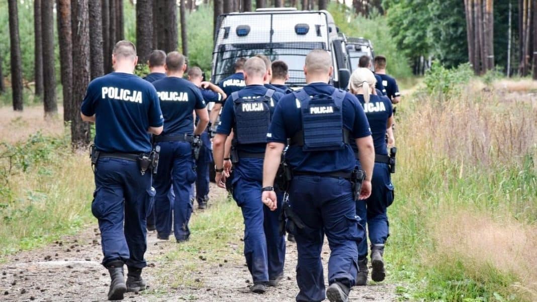 Grupa policjant&oacute;w przeszukuje las w poszukiwaniu zaginionej kobiety.