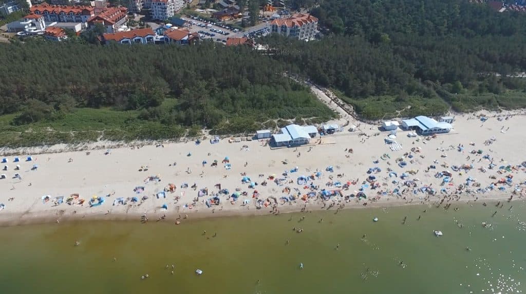 Widok na szeroką plażę w Krynicy Morskiej z parasolami i leżakami, w tle las i budynki nadmorskie.