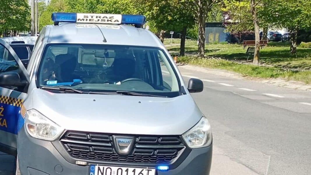 Samochód Straży Miejskiej na ulicy w Olsztynie, w tle drzewa i park.