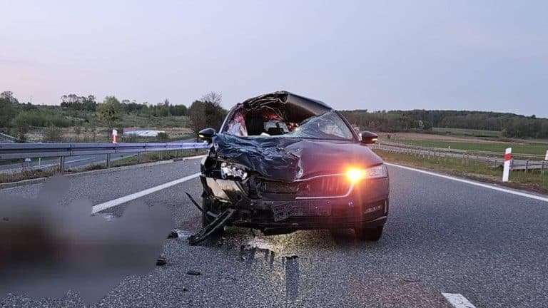 Uszkodzony samoch&oacute;d po kolizji z łosiem na drodze S7 w kierunku Gdańska.