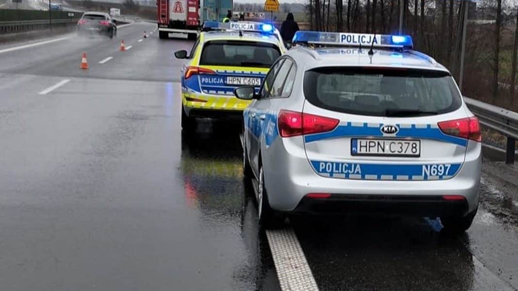 Policja na drodze ekspresowej po zderzeniu Tesli z sarną, mokra nawierzchnia, pojazdy z włączonymi sygnałami.