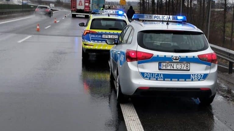 Policja na drodze ekspresowej po zderzeniu Tesli z sarną, mokra nawierzchnia, pojazdy z włączonymi sygnałami.