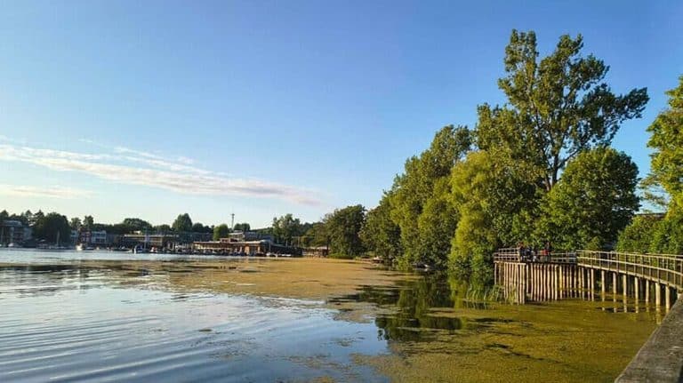 Widok na zatokę jeziora Ukiel z rosnącymi drzewami i roślinnością, w tle przystań i budynki.
