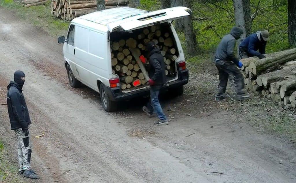 Czterech zamaskowanych mężczyzn pakujących drewno do białego vana na leśnej drodze.