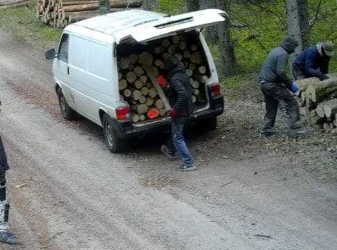 Czterech zamaskowanych mężczyzn pakujących drewno do białego vana na leśnej drodze.