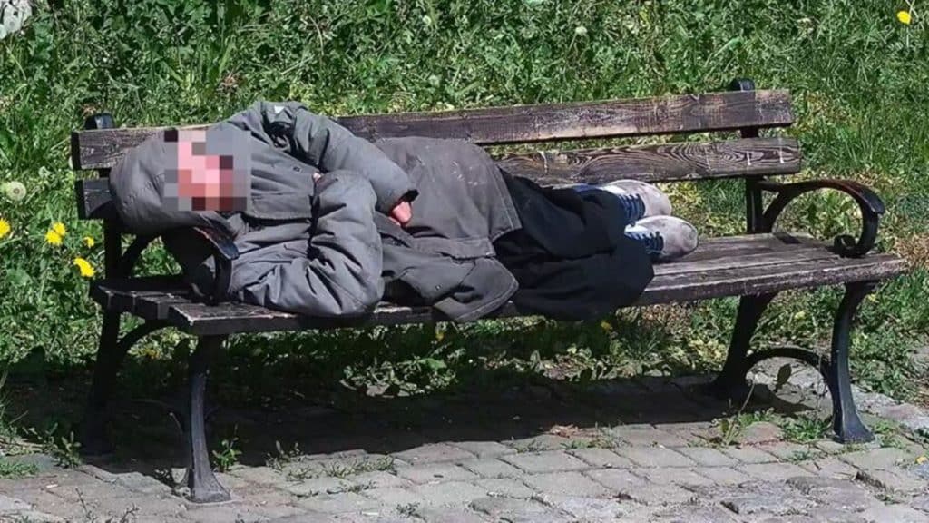 Osoba śpiąca na ławce w parku, otoczona zielenią i kwiatami, w słoneczny dzień.