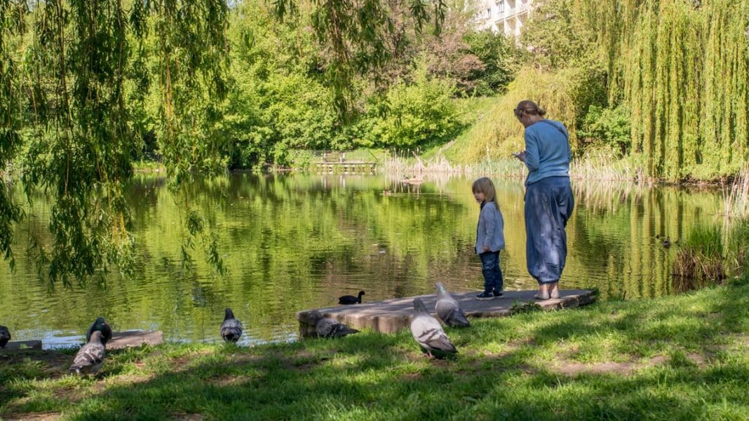 Mama i dziecko stoją na pomoście nad jeziorem, wokół drzewa i ptaki na trawie.