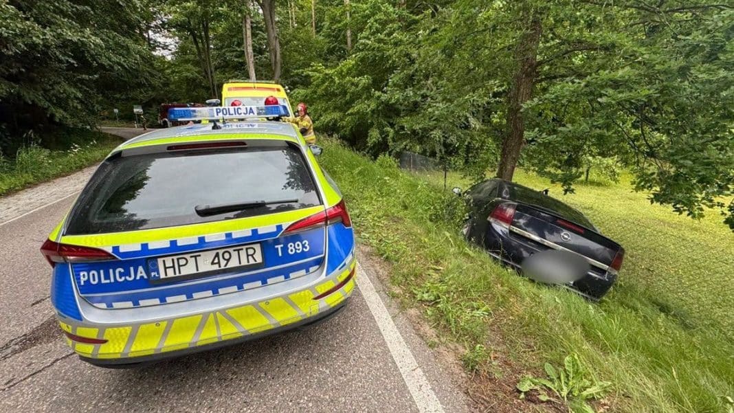 Samochód osobowy uderzył w drzewo na poboczu drogi, obok stoi radiowóz policyjny, wokół zieleń i drzewa.