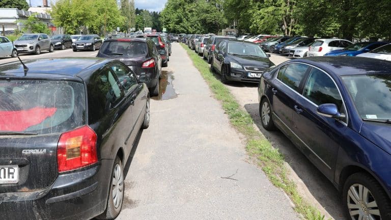 Zapełniony parking samochodami przy ulicy, w tle drzewa i budynki.