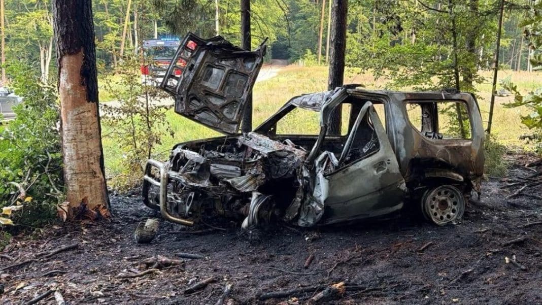 Spalony samochód marki Suzuki po wypadku na leśnej drodze, otoczony drzewami i zielenią.