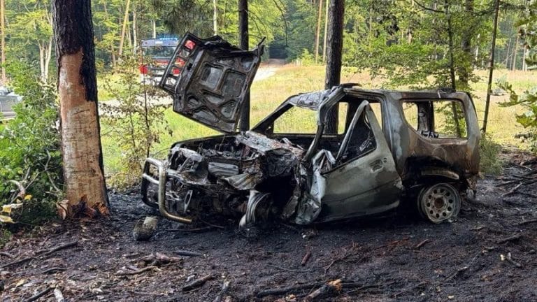 Spalony samochód marki Suzuki po wypadku na leśnej drodze, otoczony drzewami i zielenią.