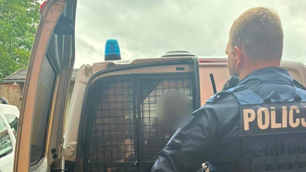 Policjant patrzący na mężczyznę w policyjnym pojeździe, widoczny z tyłu, z metalową kratą na drzwiach.