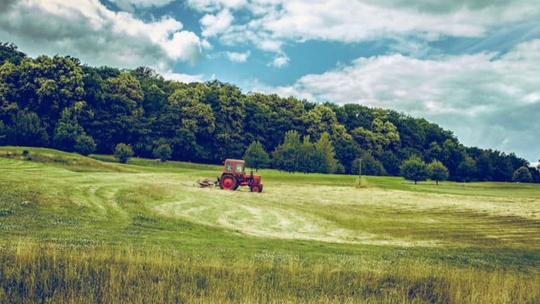 Agroturystyka w Świętokrzyskiem – dlaczego warto wybrać taki wypoczynek