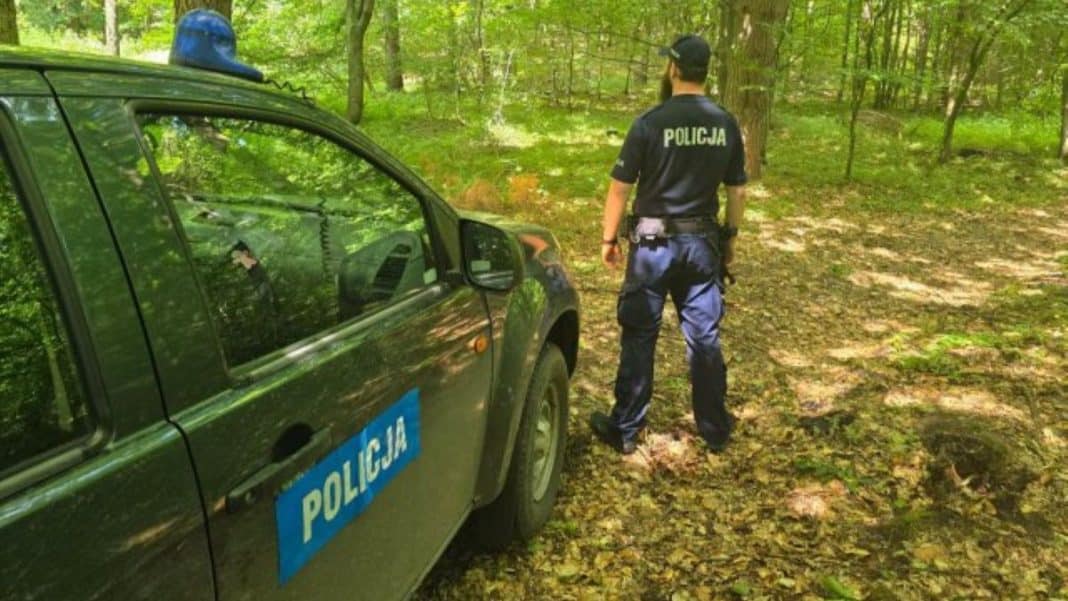 Policjant stoi obok oznakowanego radiowozu w lesie, na tle drzew i zielonej roślinności.