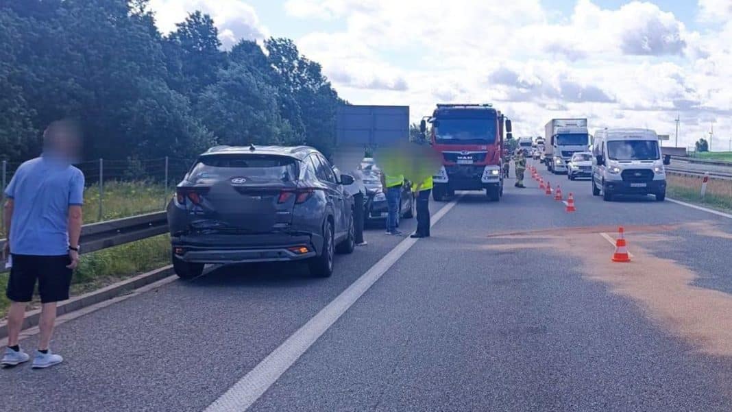 Kolizja trzech pojazdów na S7 spowodowana przez łabędzia, na drodze ustawione słupki i pojazdy służb ratunkowych.