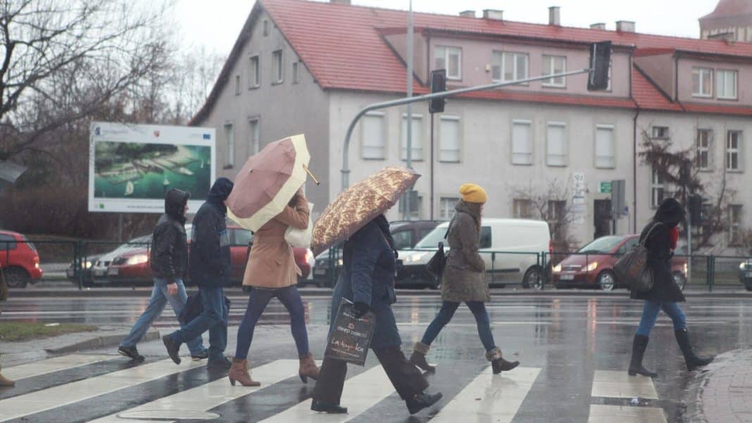 Ludzie idący przez przejście dla pieszych w deszczową pogodę, trzymając parasole.