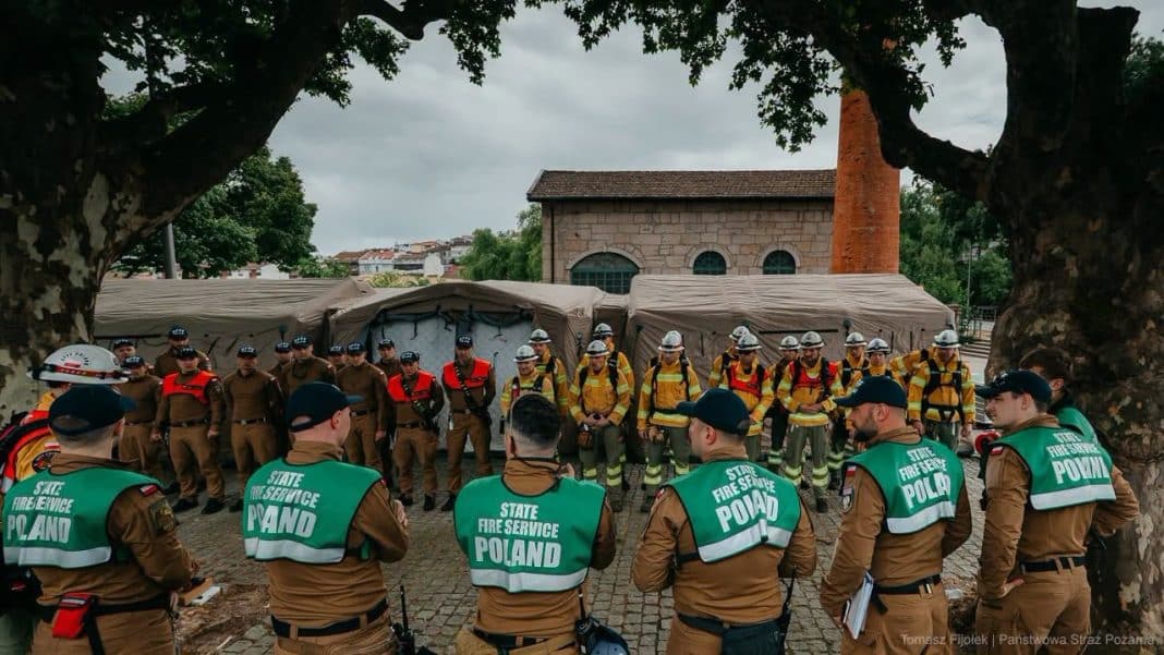 Grupa strażaków w mundurach i kamizelkach z napisem 'State Fire Service Poland' podczas spotkania na zewnątrz pod drzewami.