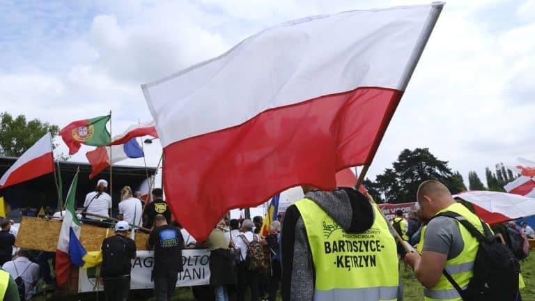 Hodowcy trzody chlewnej protestują przed ministerstwem, trzymając flagi Polski i innych krajów.