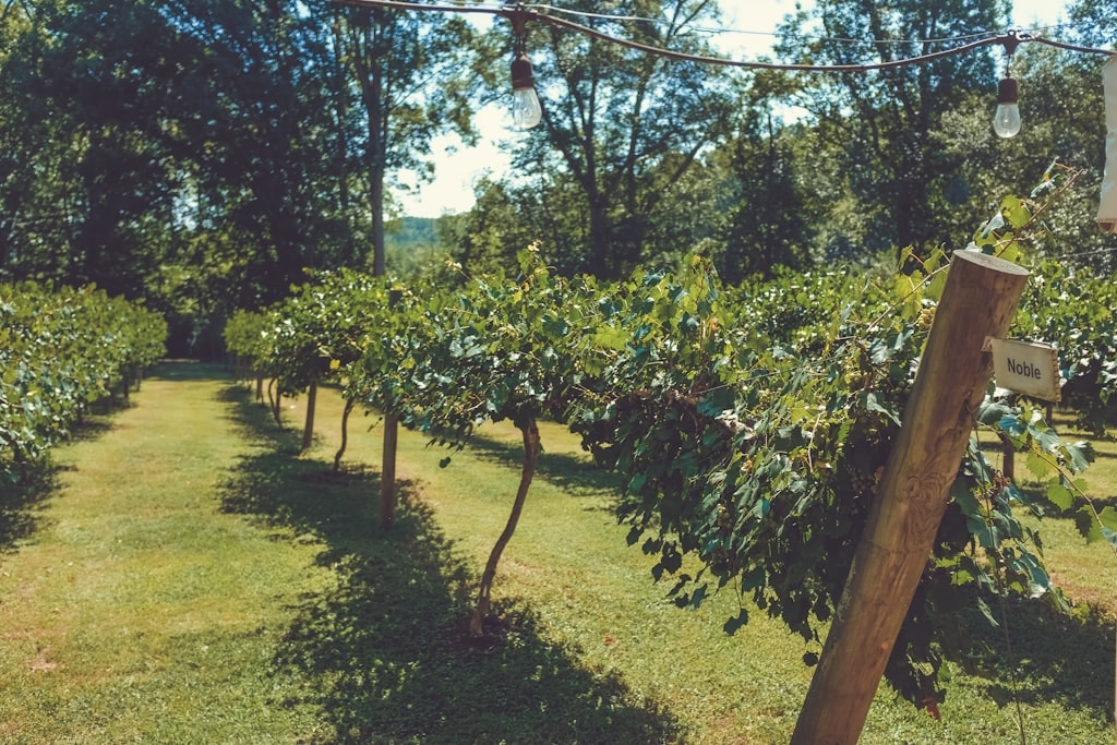 agroturystyka świętokrzyskie