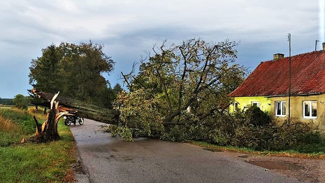 Powalone drzewo blokujące drogę w pobliżu domu na Warmii i Mazurach.