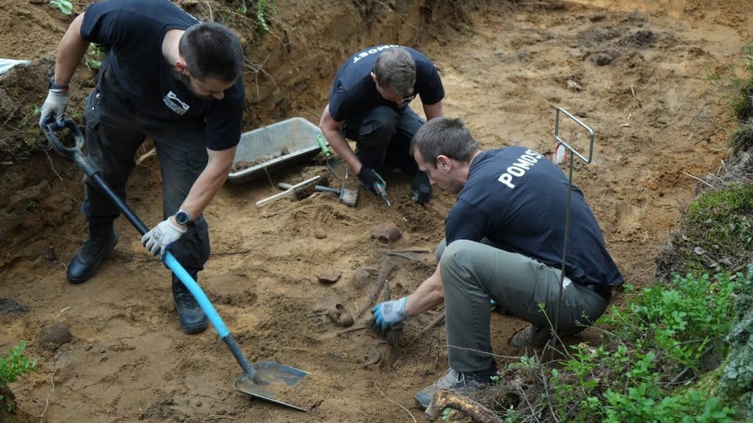 Grupa archeologów i leśników pracuje przy ekshumacji szczątków w wykopie w lesie.