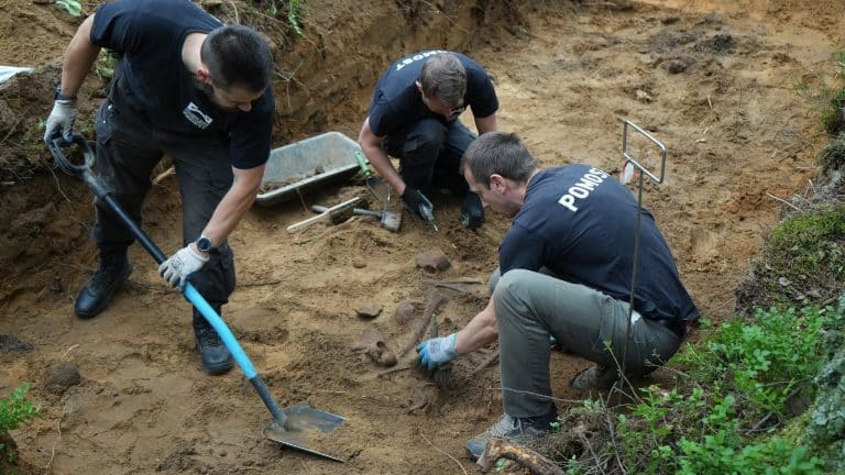 Grupa archeologów i leśników pracuje przy ekshumacji szczątków w wykopie w lesie.