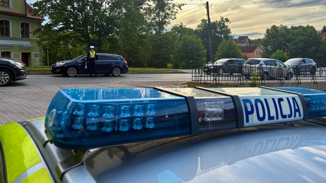 Policjant kontroluje kierowcę na drodze podczas akcji trzeźwościowej, w tle kilka samochodów i drzewa.