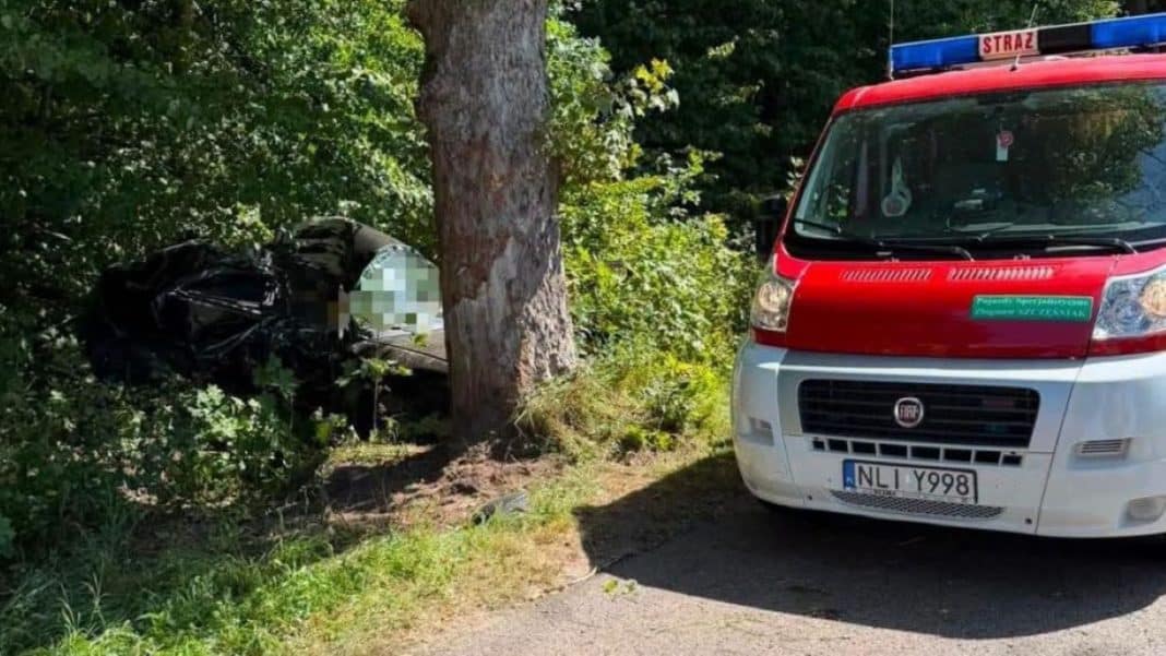 Samochód osobowy uderzył w drzewo na poboczu, obok stoi pojazd straży pożarnej, w tle zieleń i drzewa.