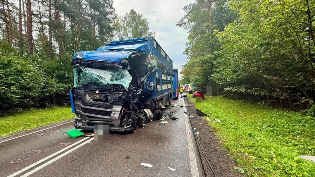 Rozbity autobus i samochód osobowy po wypadku na drodze krajowej nr 59 w lesie.