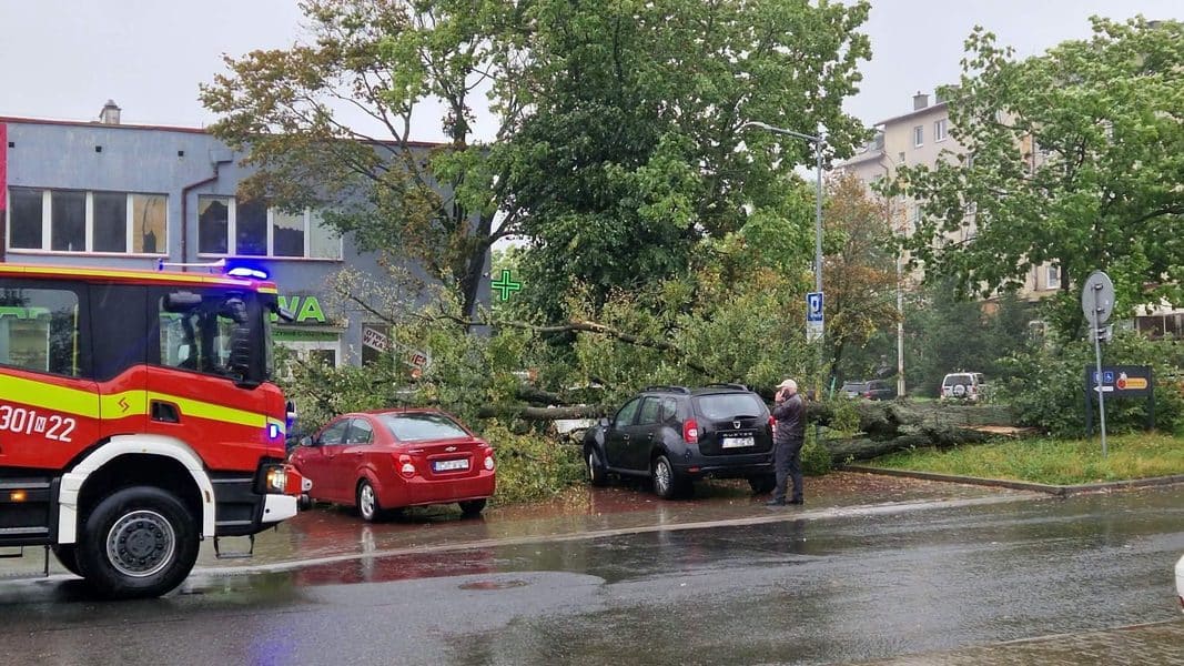 Przy ulicy w Olsztynie drzewo upadło na samochody podczas ulewy, straż pożarna na miejscu.