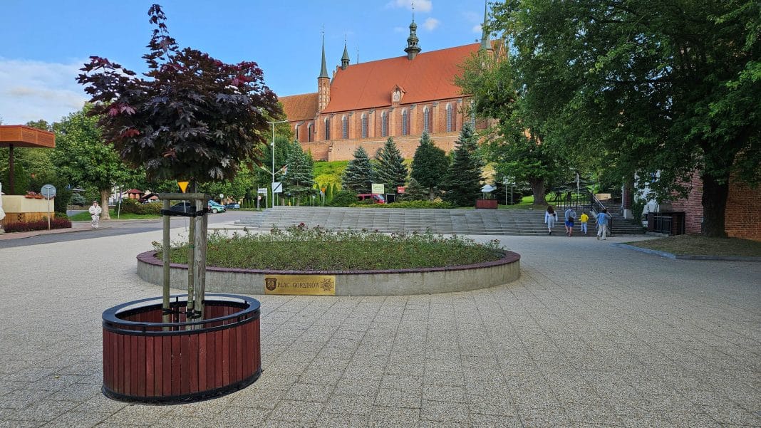 Widok placu Górników z dużym drzewem i kościołem w tle, wśród zieleni i schodów, w słoneczny dzień.