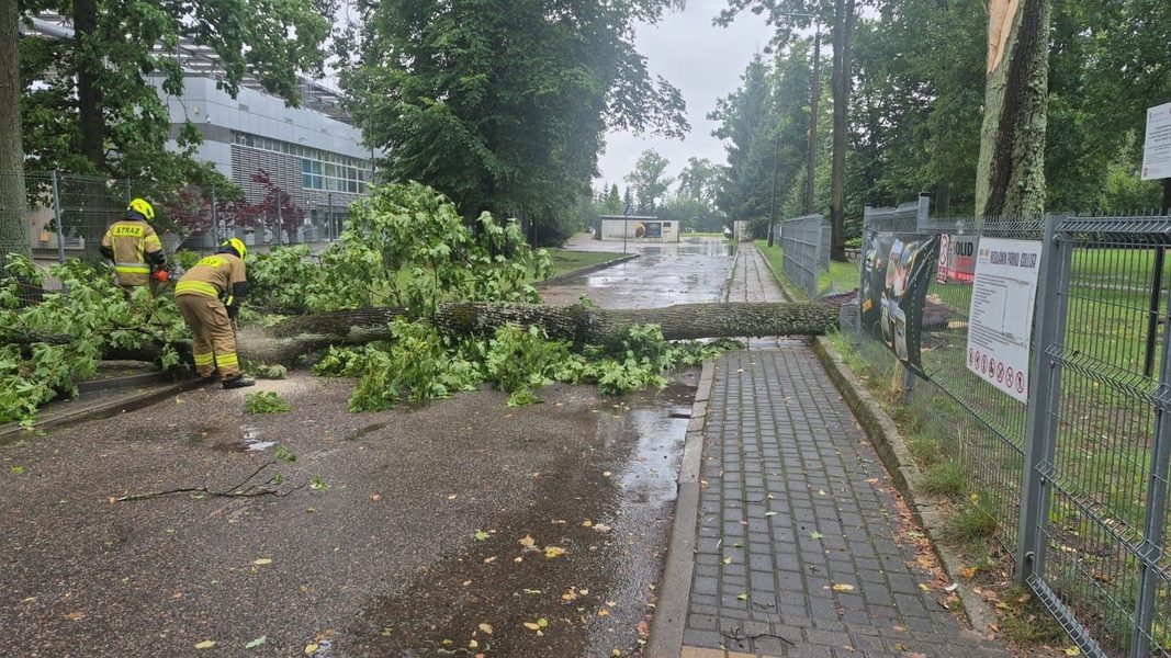 Strażacy usuwają powalone drzewo z chodnika po ulewie na Warmii i Mazurach.