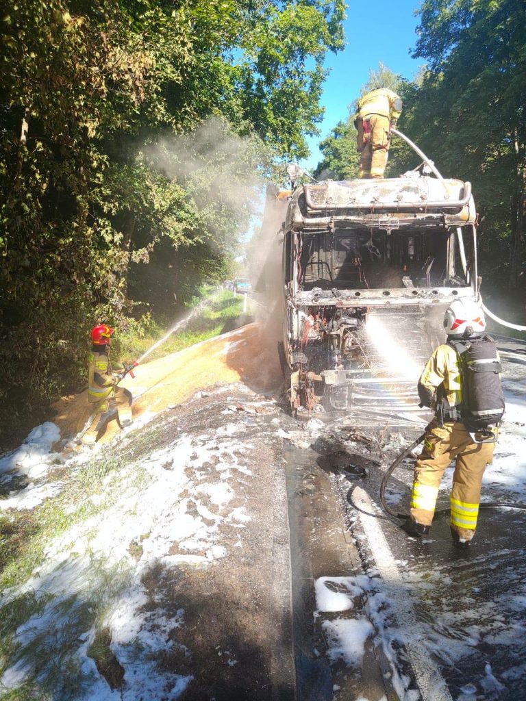 Strażacy gaszą pożar ciężarówki na drodze krajowej nr 16, wokół drzewa i niebo.