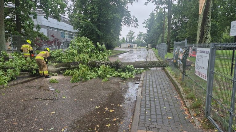 Strażacy usuwają powalone drzewo z chodnika po ulewie na Warmii i Mazurach.