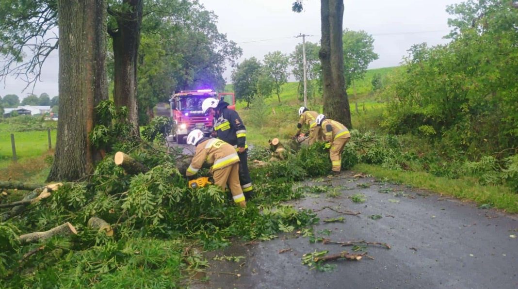 Strażacy usuwają powalone drzewa z drogi po nawałnicy na Warmii i Mazurach.