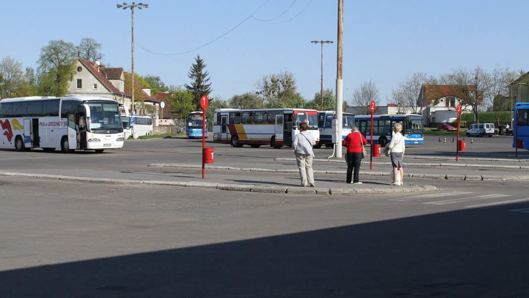 Autobusy i pasażerowie na przystanku autobusowym w mieście, w tle budynki i drzewa.