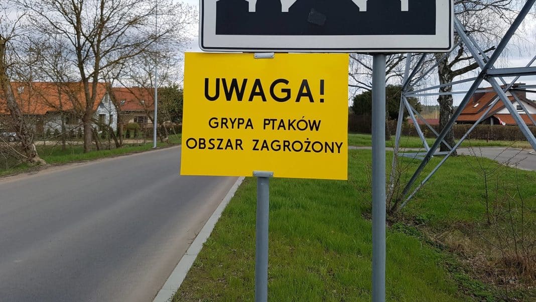 Żółta tablica ostrzegawcza na poboczu drogi z napisem o zagrożeniu grypą ptaków w regionie.