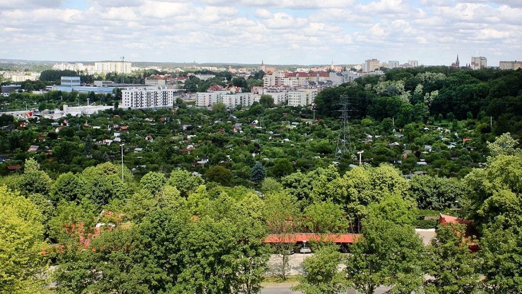 Widok na miasto z dużą ilością zieleni i domów, w tle wysokie budynki i chmury na niebie.