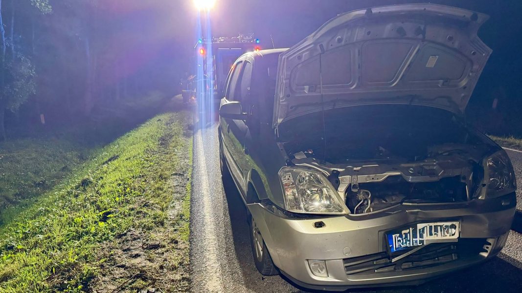 Uszkodzony samochód po zderzeniu z dzikim zwierzęciem na drodze krajowej nr 54, z otwartym maską i służbami w tle.