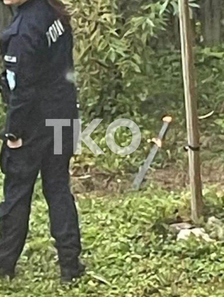 Policjantka obok wbitej w ziemię maczety, wokół zieleń i elementy ogrodzenia.