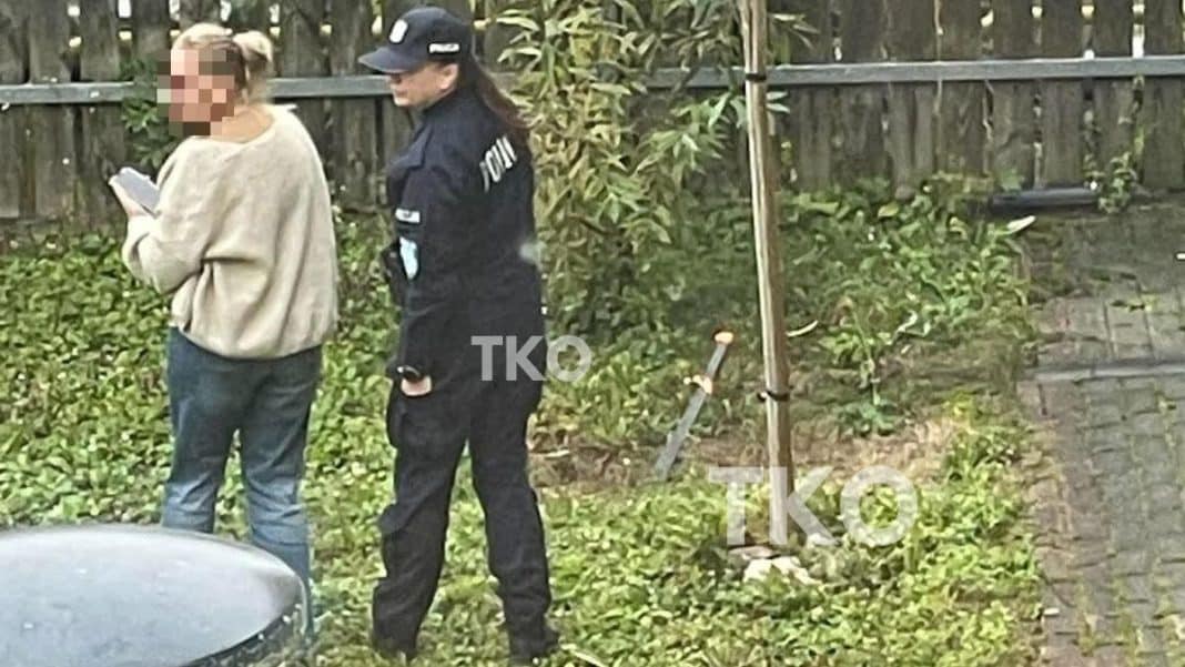 Policjantka i osoba z blurem na tle ogrodzenia i roślin, obok widoczna maczeta wbita w ziemię.
