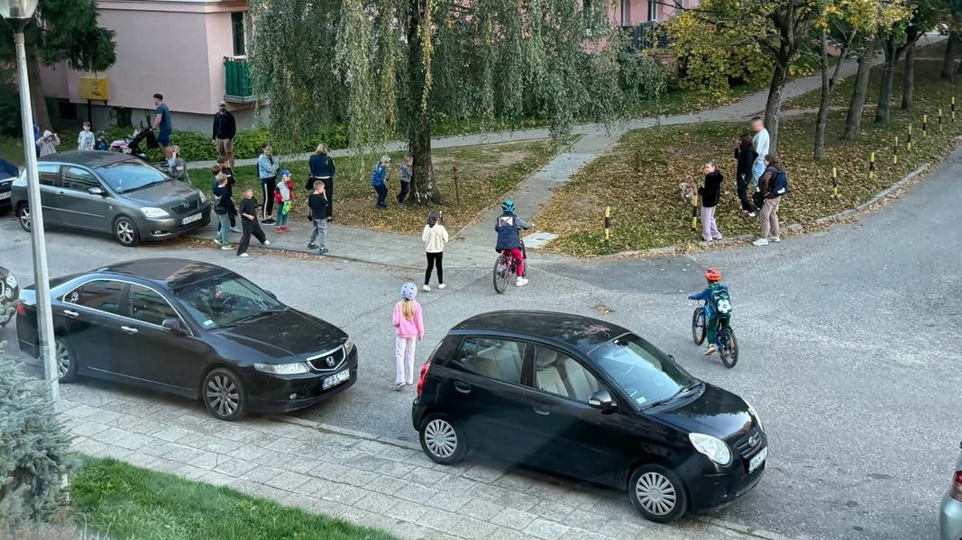 Grupa dzieci i dorosłych na chodniku przy parku, w tle drzewa i samochody.