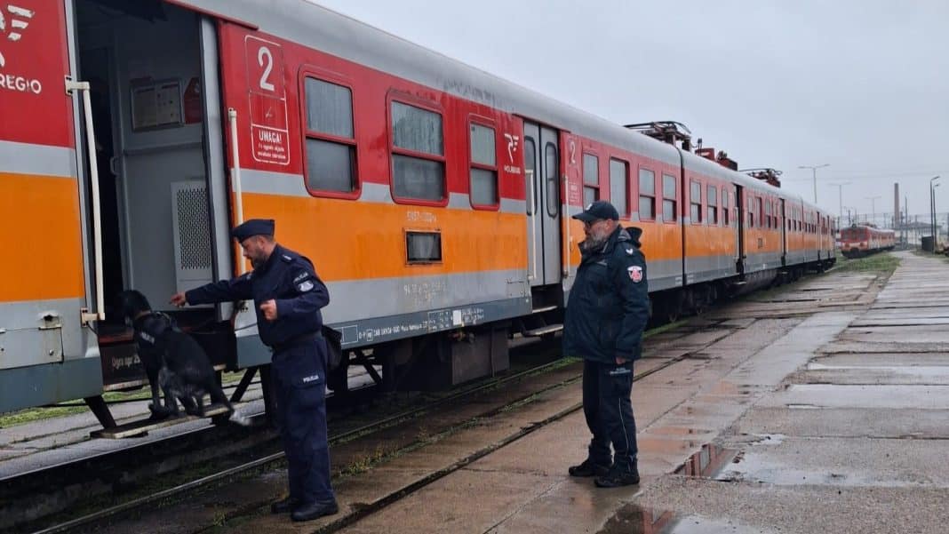 Policjant z psem służbowym na bocznicy kolejowej, obok wagonów kolejowych, w trakcie akcji służbowej.