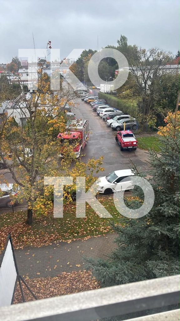 Zdjęcie przedstawia parking z samochodami i drzewami, na którym widać maczetę wbita w ziemię obok policjantki.