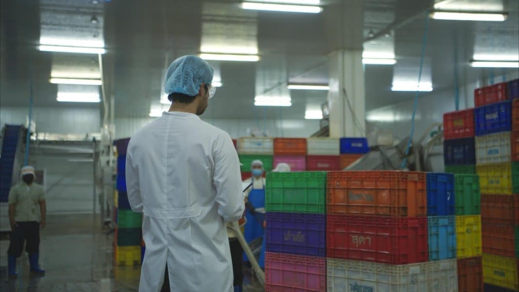 Pracownik w białym kitlu i czepku w zakładzie produkcyjnym, otoczony kolorowymi skrzyniami na tle oświetlonych sufitów.